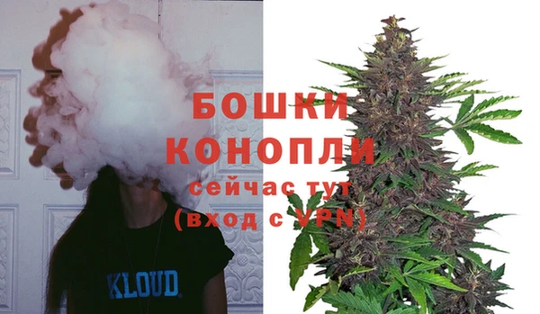 бошки Алексин