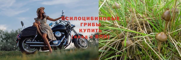 эйфоретик Алексеевка
