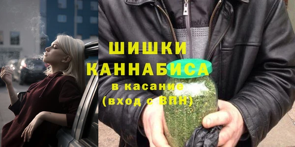 бошки Алексин