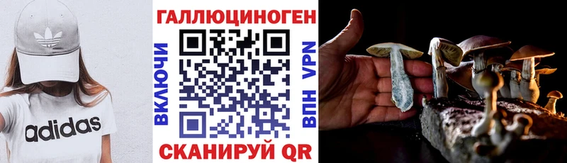 Галлюциногенные грибы Psilocybe  Петровск-Забайкальский 