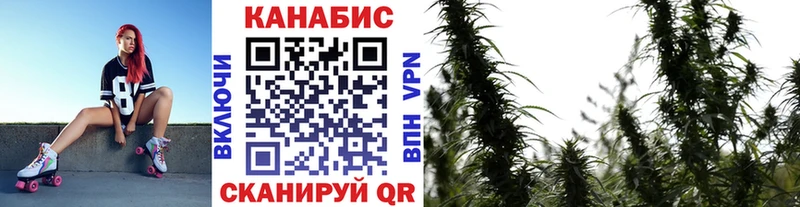 ссылка на мегу онион  Петровск-Забайкальский  Канабис индика 
